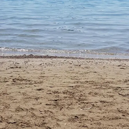 Arcadia Luxury Seaside Cuisine リゾート トロン