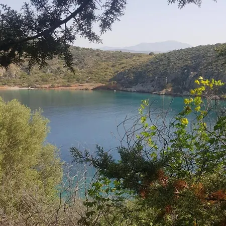 Arcadia Luxury Seaside Cuisine *