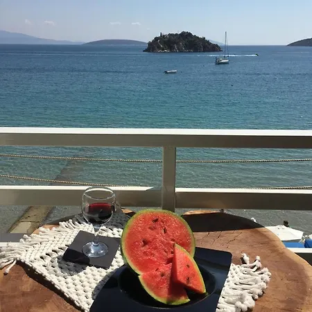 Arcadia Luxury Seaside Cuisine *