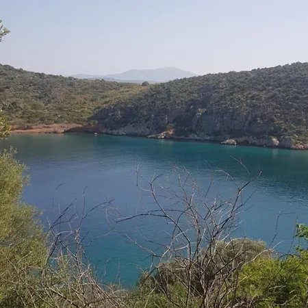 Arcadia Luxury Seaside Cuisine Tolón