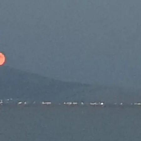 Arcadia Luxury Seaside Cuisine Tolón