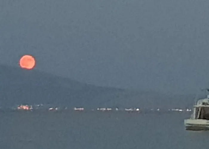 Arcadia Luxury Seaside Cuisine Tolón