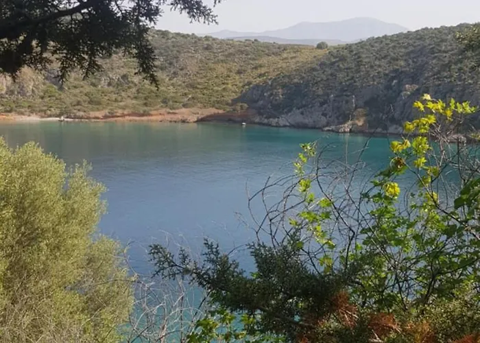 Arcadia Luxury Seaside Cuisine *